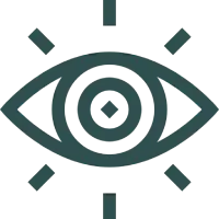 vision